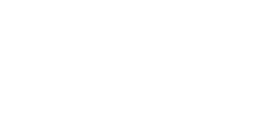 PARK SNOW